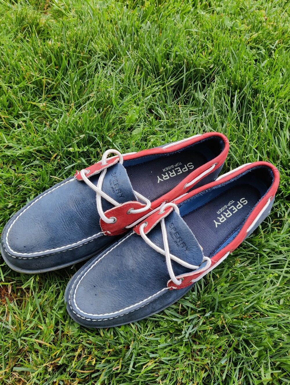 SPERRY TOP-SIDER Men's 11.5
